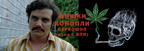ПСИЛОЦИБИНОВЫЕ ГРИБЫ Зерноград