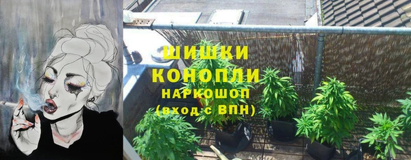 ПСИЛОЦИБИНОВЫЕ ГРИБЫ Зерноград
